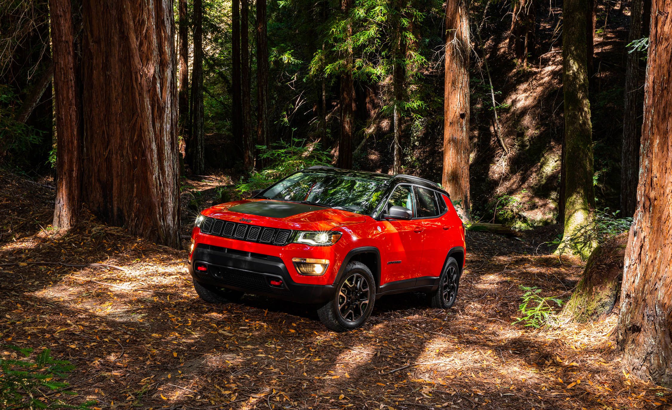 2017 Jeep Compass Trailhawk 4× (View 15 of 49)
