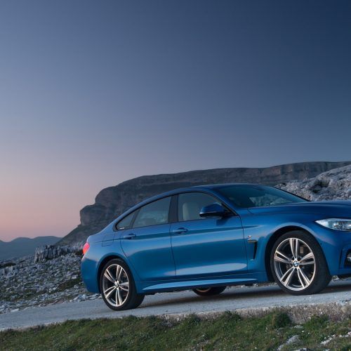 2015 BMW 4-Series Gran Coupe (Photo 5 of 11)
