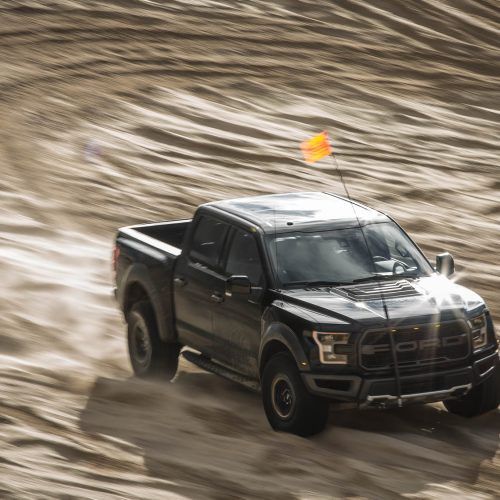 2017 Ford F-150 Raptor (Photo 36 of 47)